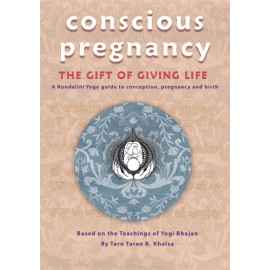 Conscious Pregnancy Vol. 1